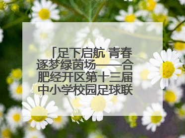 足下启航 青春逐梦绿茵场——合肥经开区第十三届中小学校园足球联赛圆满收官