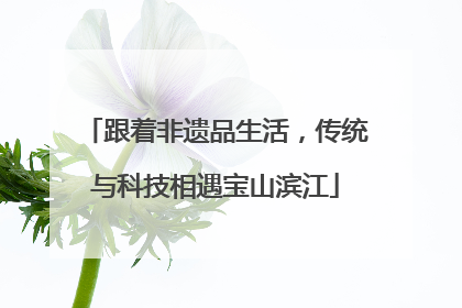跟着非遗品生活，传统与科技相遇宝山滨江
