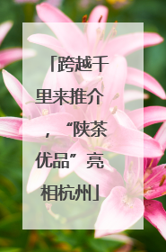 跨越千里来推介，“陕茶优品”亮相杭州