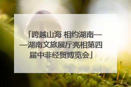 跨越山海 相约湖南——湖南文旅展厅亮相第四届中非经贸博览会