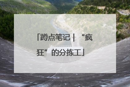蹲点笔记｜“疯狂”的分拣工