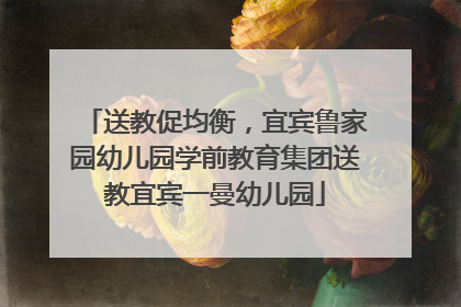 送教促均衡，宜宾鲁家园幼儿园学前教育集团送教宜宾一曼幼儿园