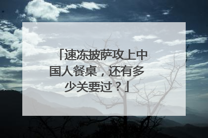 速冻披萨攻上中国人餐桌，还有多少关要过？