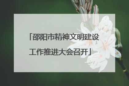 邵阳市精神文明建设工作推进大会召开