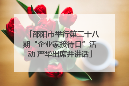邵阳市举行第二十八期“企业家接待日”活动 严华出席并讲话