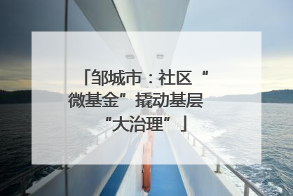 邹城市：社区“微基金”撬动基层“大治理”
