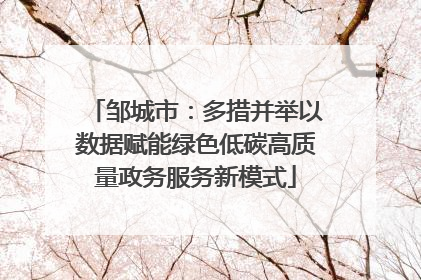 邹城市：多措并举以数据赋能绿色低碳高质量政务服务新模式