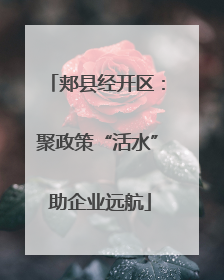 郏县经开区：聚政策“活水” 助企业远航