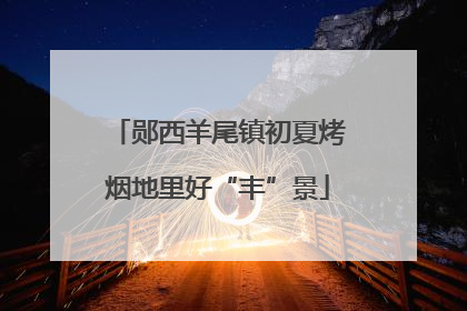 郧西羊尾镇初夏烤烟地里好“丰”景