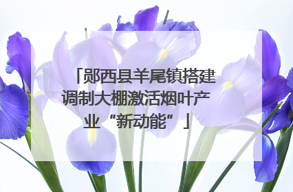 郧西县羊尾镇搭建调制大棚激活烟叶产业“新动能”