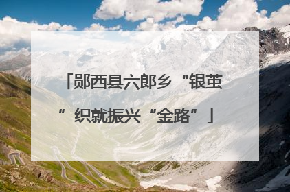 郧西县六郎乡“银茧”织就振兴“金路”