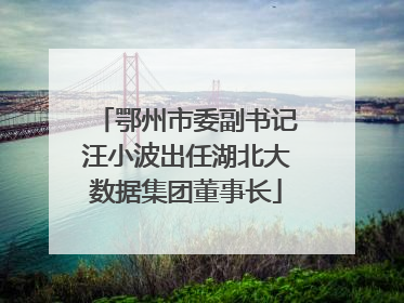 鄂州市委副书记汪小波出任湖北大数据集团董事长