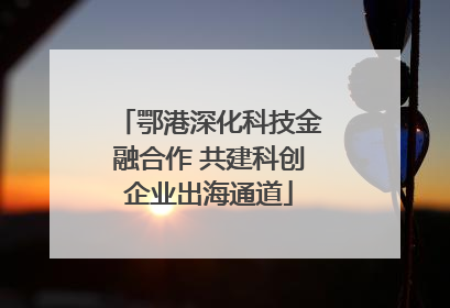 鄂港深化科技金融合作 共建科创企业出海通道