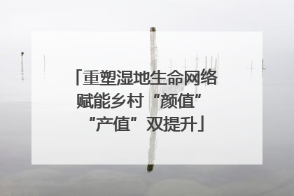 重塑湿地生命网络 赋能乡村“颜值”“产值”双提升