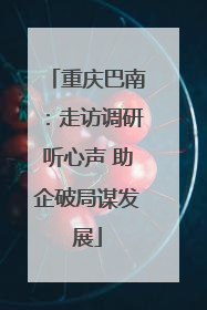 重庆巴南：走访调研听心声 助企破局谋发展
