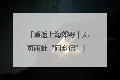重返上海郊野｜无斑雨蛙“回乡记”
