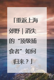 重返上海郊野｜消失的“顶级捕食者”如何归来？