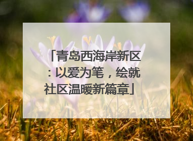 青岛西海岸新区：以爱为笔，绘就社区温暖新篇章