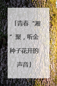 青春“湘”聚，听金种子花开的声音