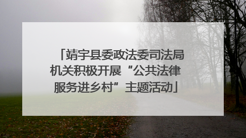 靖宇县委政法委司法局机关积极开展“公共法律服务进乡村”主题活动