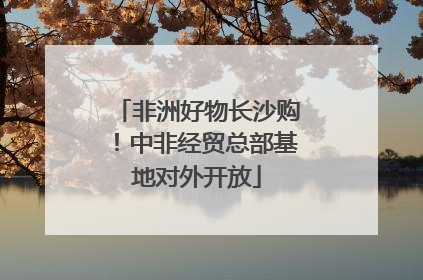 非洲好物长沙购！中非经贸总部基地对外开放