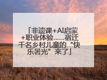 非遗课+AI启蒙+职业体验……宿迁千名乡村儿童的“快乐暑光”来了