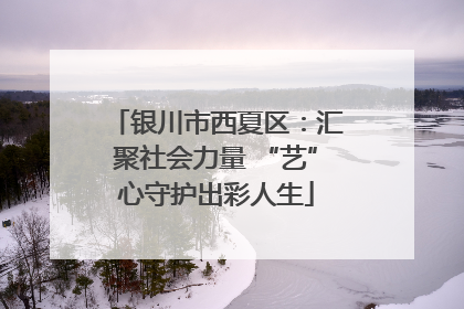 银川市西夏区：汇聚社会力量 “艺”心守护出彩人生