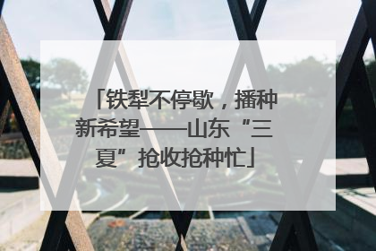 铁犁不停歇，播种新希望——山东“三夏”抢收抢种忙