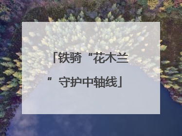 铁骑“花木兰”守护中轴线