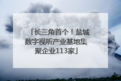 长三角首个！盐城数字视听产业基地集聚企业113家