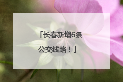 长春新增6条公交线路！