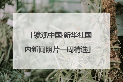 镜观中国·新华社国内新闻照片一周精选