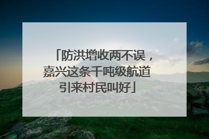 防洪增收两不误，嘉兴这条千吨级航道引来村民叫好