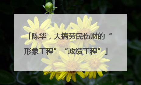 陈华，大搞劳民伤财的“形象工程”“政绩工程”