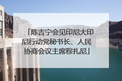 陈吉宁会见印尼大印尼行动党秘书长、人民协商会议主席穆扎尼
