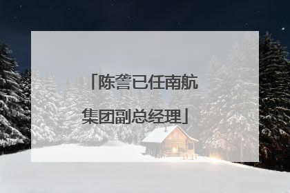 陈詟已任南航集团副总经理