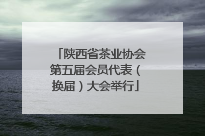 陕西省茶业协会第五届会员代表（换届）大会举行