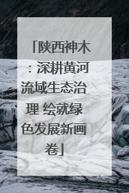 陕西神木：深耕黄河流域生态治理 绘就绿色发展新画卷