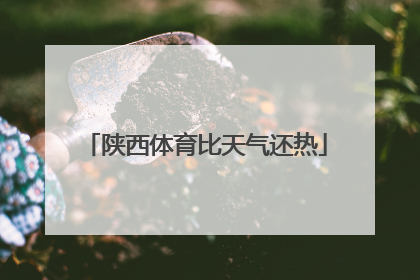 陕西体育比天气还热