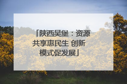 陕西吴堡：资源共享惠民生 创新模式促发展