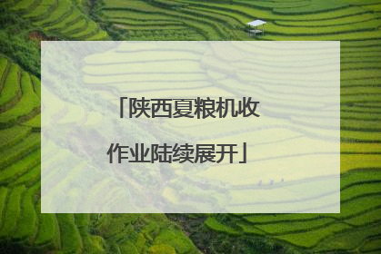 陕西夏粮机收作业陆续展开
