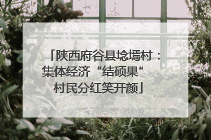 陕西府谷县埝墕村：集体经济“结硕果” 村民分红笑开颜