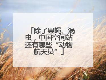 除了果蝇、涡虫，中国空间站还有哪些“动物航天员”