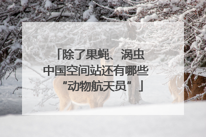 除了果蝇、涡虫 中国空间站还有哪些“动物航天员”