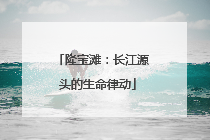 隆宝滩：长江源头的生命律动