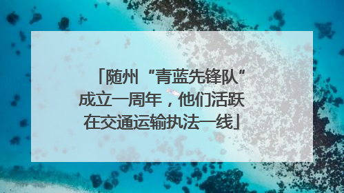 随州“青蓝先锋队”成立一周年，他们活跃在交通运输执法一线