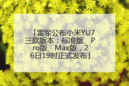 雷军公布小米YU7三款版本：标准版、Pro版、Max版，26日19时正式发布
