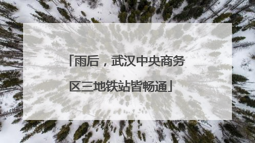 雨后，武汉中央商务区三地铁站皆畅通