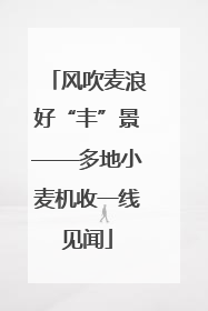 风吹麦浪好“丰”景——多地小麦机收一线见闻