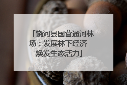 饶河县国营通河林场：发展林下经济 焕发生态活力